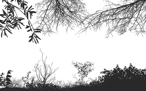灌木丛和凋零的秋天的大自然 现实的枝干的矢量背景 裸露的轮廓 — 图库矢量图片