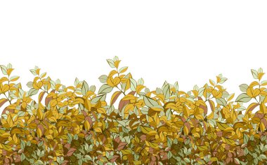 Realistic garden shrub, seasonal bush, boxwood, tree crown bush foliage.Ornamental green plant in the form of a hedge.For decorate of a park, a garden or a green fence.