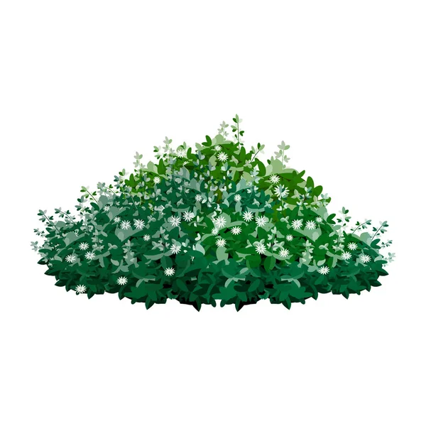 Realistic Garden Shrub Seasonal Bush Boxwood Tree Crown Bush Foliage — 스톡 벡터