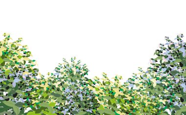 Realistic garden shrub, seasonal bush, boxwood, tree crown bush foliage.Ornamental green plant in the form of a hedge.For decorate of a park, a garden or a green fence.