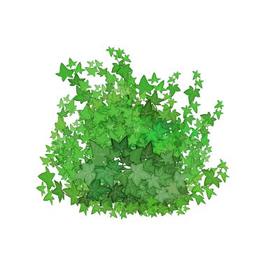Realistic garden shrub, seasonal bush, boxwood, tree crown bush foliage.Ornamental green plant in the form of a hedge.For decorate of a park, a garden or a green fence.