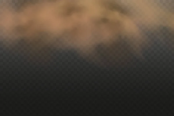 Реалистичный Вектор Изолирован Прозрачном Фоне Пылевое Облако Грязью Сигаретным Дымом — стоковый вектор