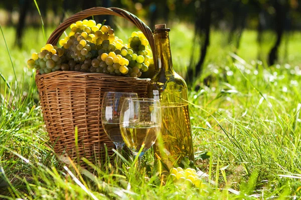 Basket full of grapes and wine — Stock Photo, Image