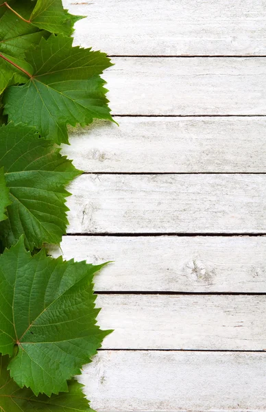 Hojas de vid sobre fondo de madera — Foto de Stock