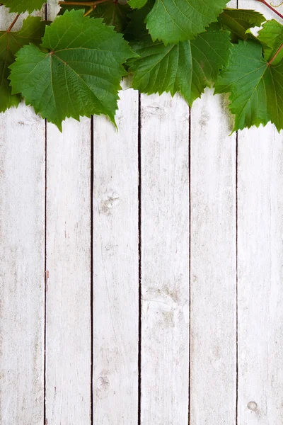 Listy révy vinné na dřevěné pozadí — Stock fotografie