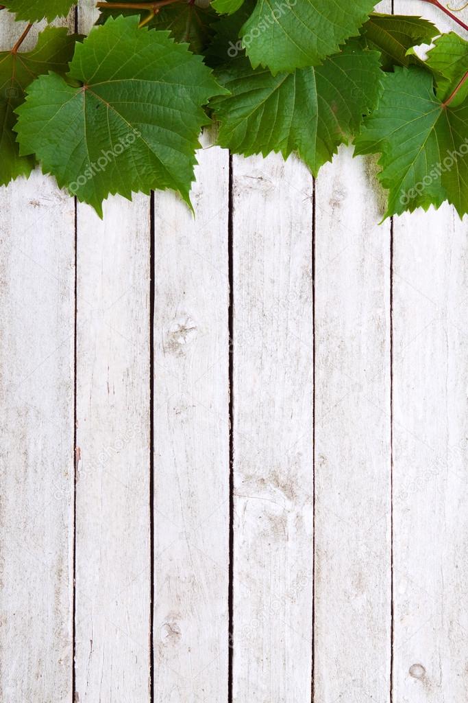 Grapevine leaves on wooden background