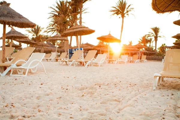 Sandy beach with deckchairs — Stock Photo, Image