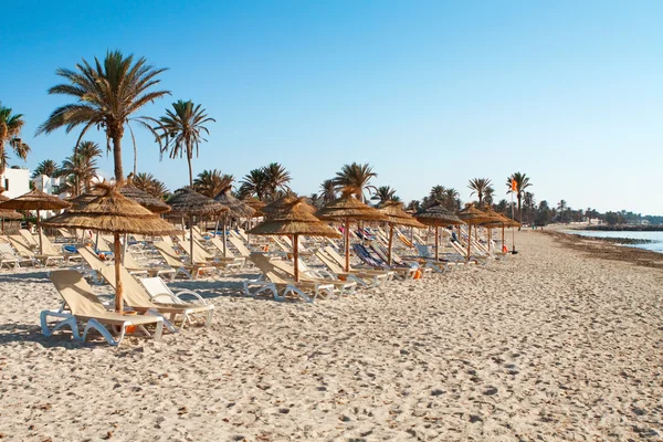 Sandy beach with deckchairs and parasols — Stock Photo, Image