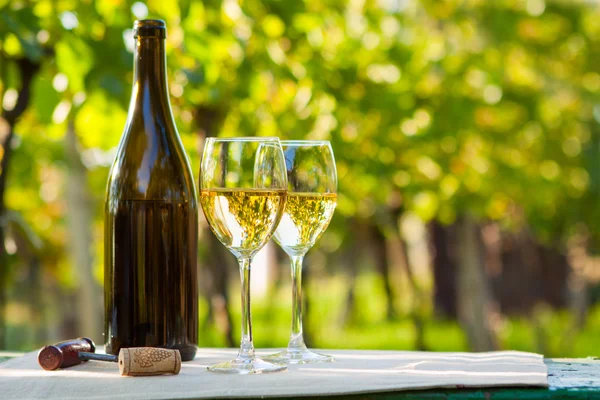Dvě sklenice bílého vína — Stock fotografie