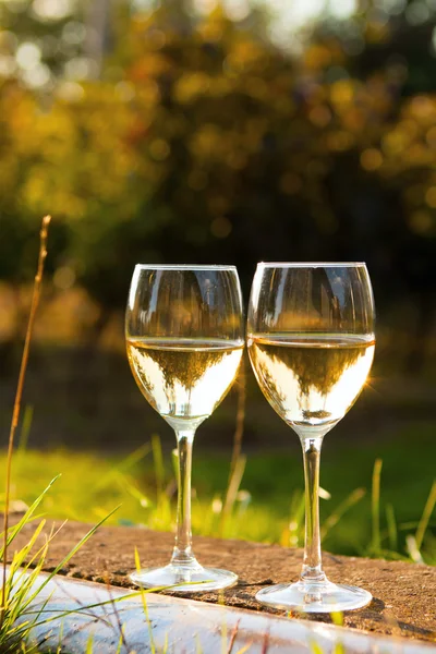 Twee glazen witte wijn. — Stockfoto