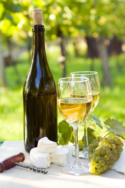 Two glasses of white wine and bottle — Stock Photo, Image