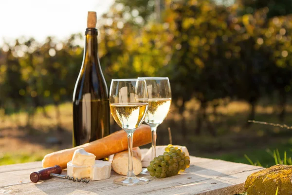 Två glas vitt vin och en flaska — Stockfoto