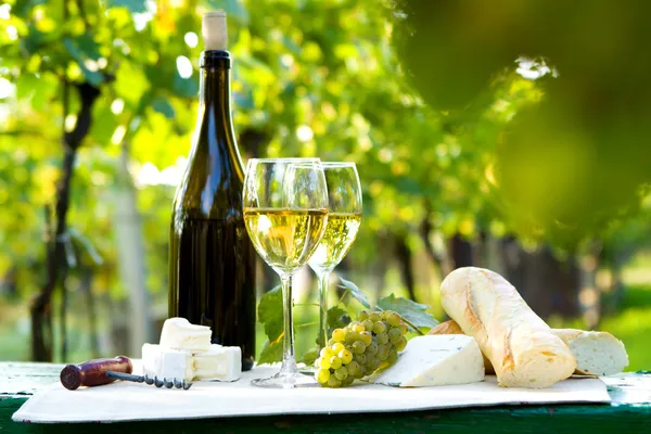 Två glas vitt vin och en flaska — Stockfoto