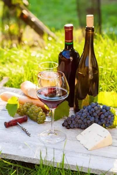 Dois copos de vinho tinto e branco e garrafa — Fotografia de Stock