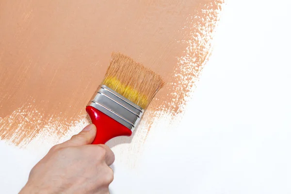 Painting a wall brown — Stock Photo, Image