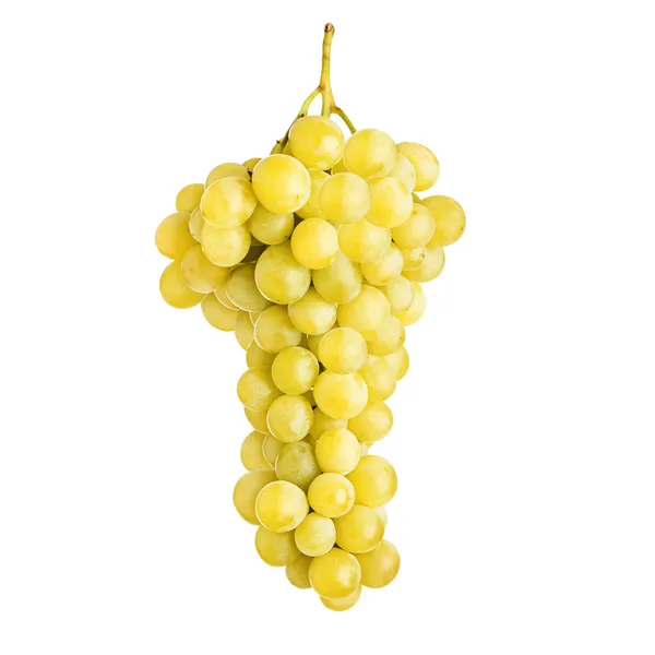 Fresh bunch of grapes of white wine — Stockfoto