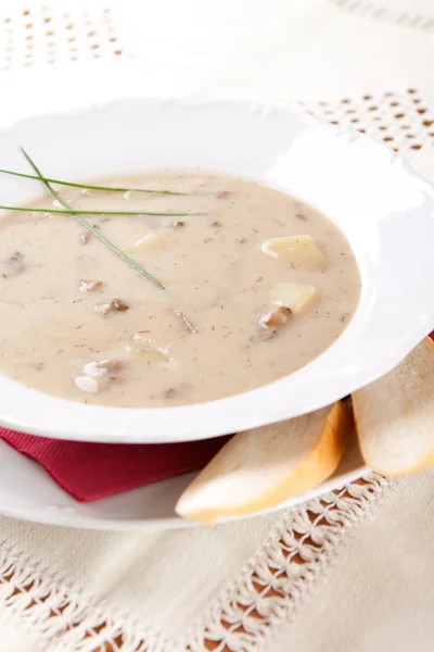 Pilzsuppe mit Sahne und Kartoffeln — Stockfoto