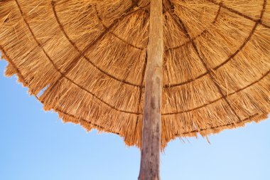 Deniz kenarında Plajda şemsiye