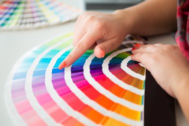 grafik tasarımcı Pantone paleti ile çalışma