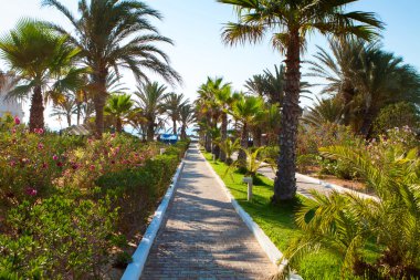 hotel resort için güneşli bir yaz günü arıyorsunuz