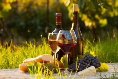 İki kadeh kırmızı beyaz şarap.