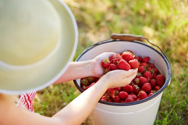 Femme assise à côté d'un seau plein de fraises fraîches — Photo