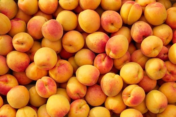 Background of fresh apricots — Stock Photo, Image