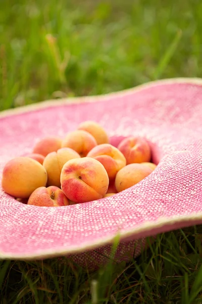 Several ripe apricots in a hat — Stock Photo, Image