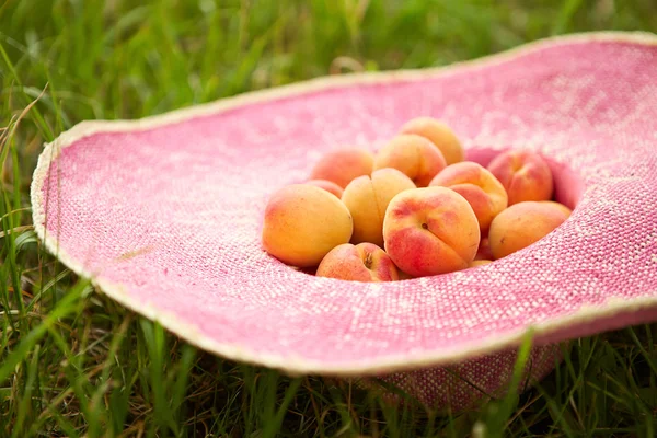 Several ripe apricots in a hat — Stock Photo, Image