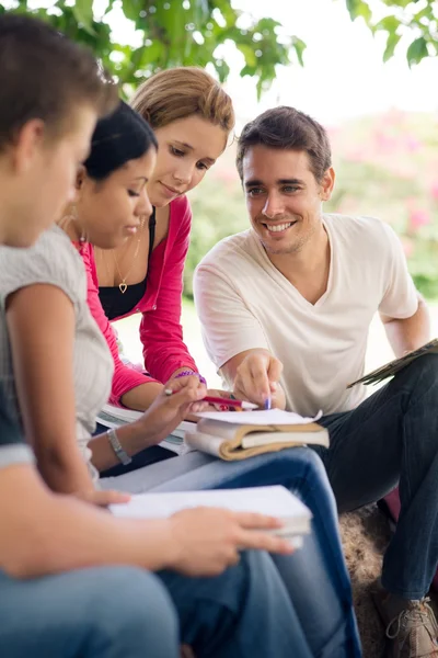 Estudantes universitários fazendo trabalhos de casa no parque — Fotografia de Stock