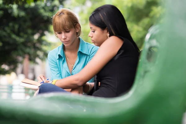 Estudantes universitários estudando no livro didático no parque — Fotografia de Stock