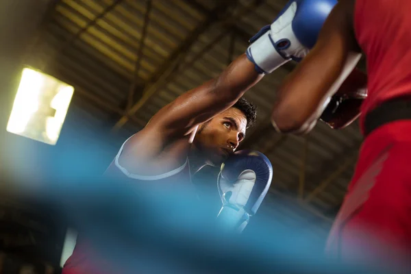 Dos atletas masculinos luchan en el ring de boxeo —  Fotos de Stock