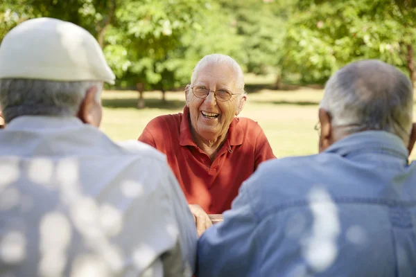 Grupp äldre män att ha kul och skratta i park — Stockfoto