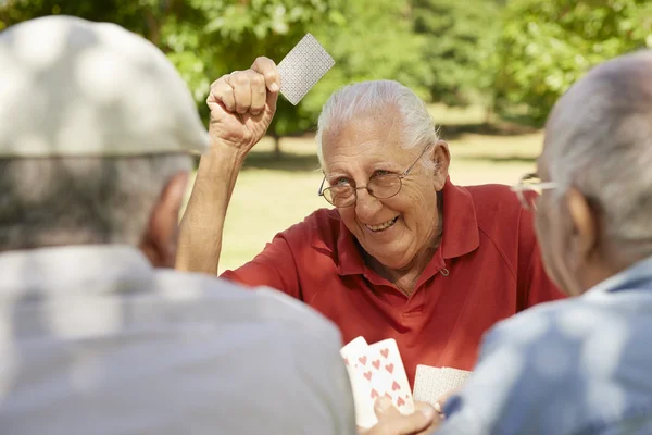 Personas mayores activas, grupo de viejos amigos jugando a las cartas en el parque —  Fotos de Stock