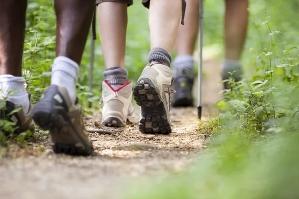 Schoenen van wandeltochten in hout en wandelen in rij — Stockfoto