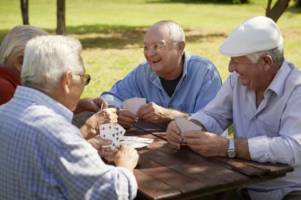 Actieve senioren, groep van oude vrienden speelkaarten in park Stockfoto