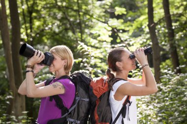 two women hiking in forest and looking with binoculars clipart
