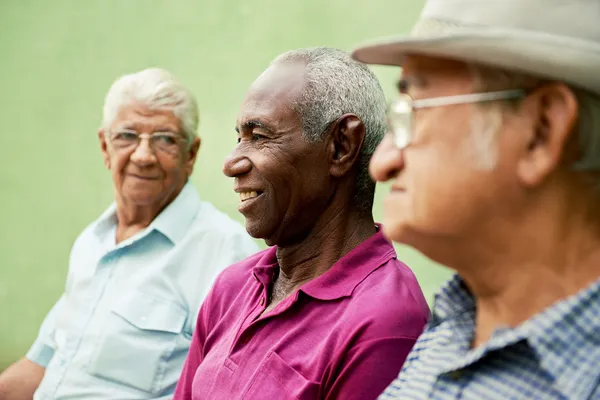Grupo de velhos homens negros e caucasianos falando no parque Imagens De Bancos De Imagens
