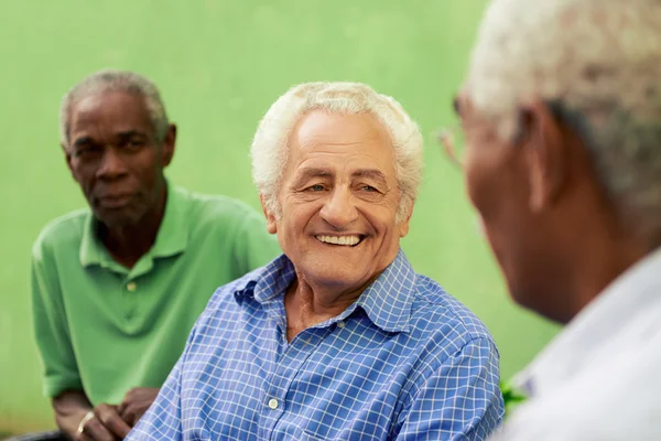 Группа старых черных и кавказских мужчин разговаривает в парке — стоковое фото