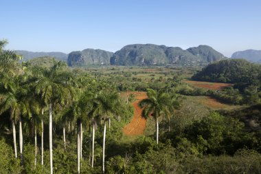 tepeler ve vinales, Küba dağlarında görünümü
