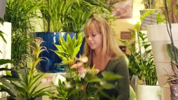 Woman working in flower shop arranging plant and pots — Stock Video