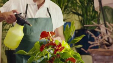 bitki ve kapları püskürtme çiçekçide çalışan adam