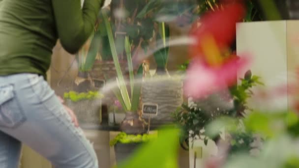 Frau kauft Blumen im Blumenladen — Stockvideo