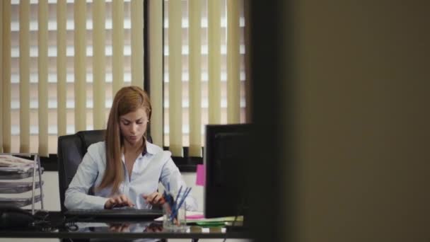 Retrato de la mujer de negocios que trabaja en la oficina — Vídeos de Stock