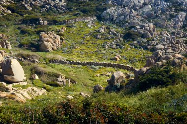 Santa Teresa di Gallura-Sardunya-İtalya