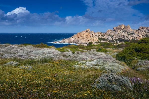 Santa Teresa di Gallura-Cerdeña-Italia — Foto de Stock