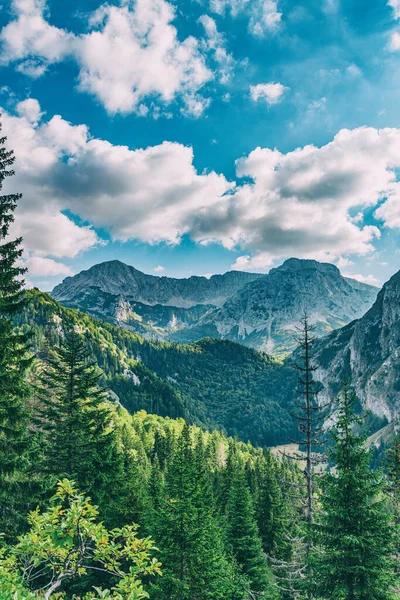 Bulutlu dağ manzarası, Karadağ, Ulusal Park Piva