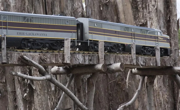 Modelos de trenes — Foto de Stock