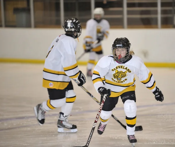 Peewee Hockey — Stockfoto