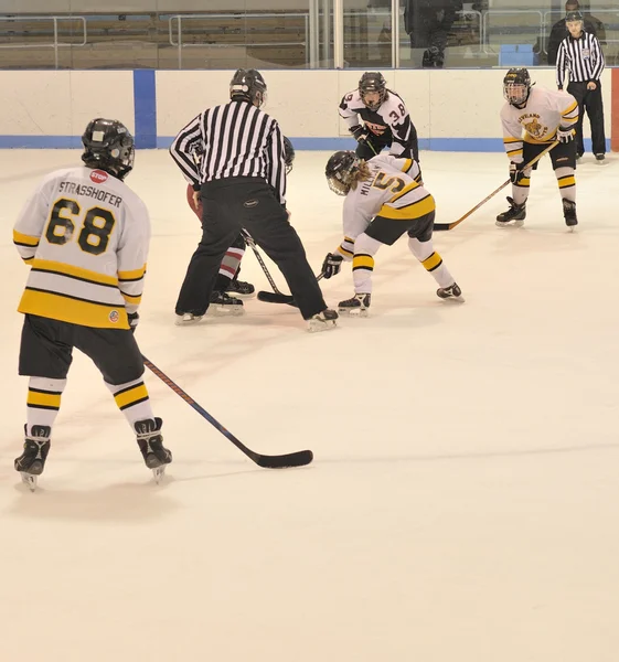 Hockey su ghiaccio Peewee — Foto Stock
